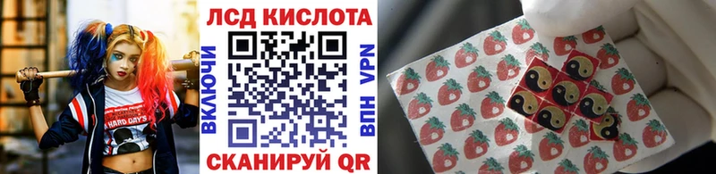 где найти наркотики Удачный Марки N-bome 1500мкг