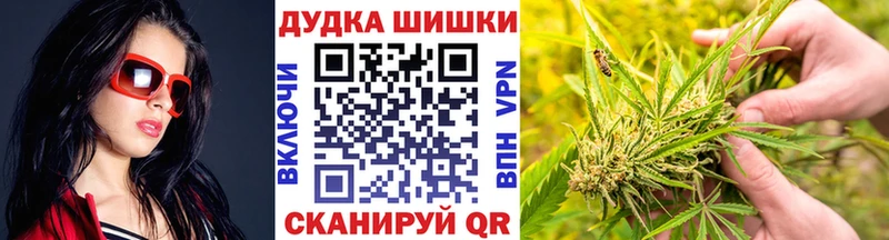 дарнет шоп  Удачный  Канабис сатива 